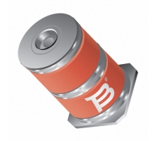 2030-23T-SM-RPLF-afbeelding