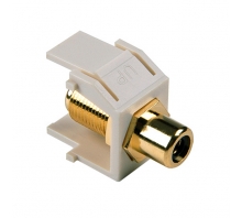 RCAFINSERTB-FW-afbeelding