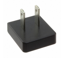 ACM PLUG US-afbeelding