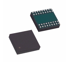 DS32KHZN/WBGA/T&R-afbeelding