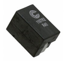 FP1107R2-R40-R-afbeelding