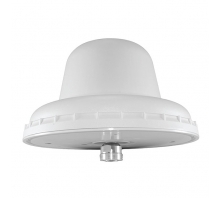 DASLTEDIN-afbeelding