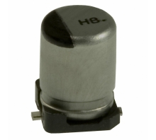 EEE-HB0J101AP-afbeelding