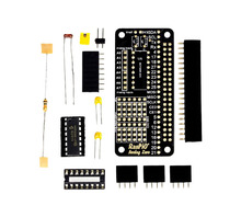 RASPIO-004-afbeelding