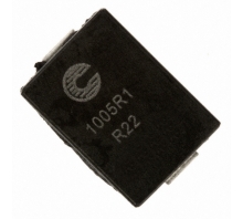 FP1005R1-R22-R-afbeelding